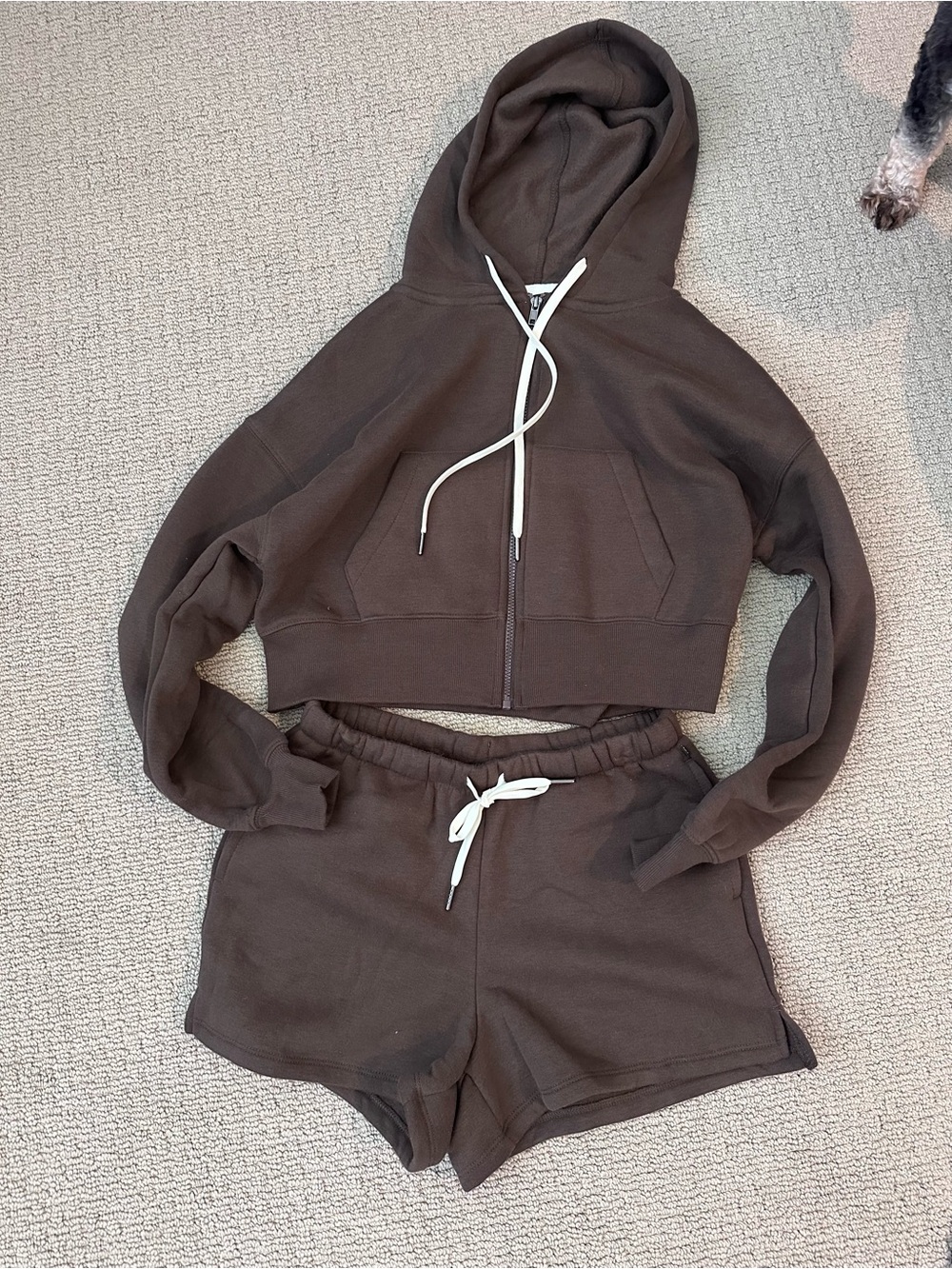 Women's Brown Drawstring Lounge Shorts & Hoodie Set
